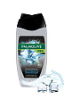 Гель для душа Palmolive, 3в1, для мужчин, 250 мл