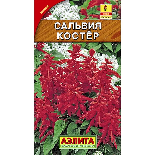 Семена Цветы, Сальвия, Костер, 0.1 г, цветная упаковка, Аэлита