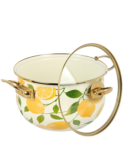 Кастрюля эмалированная сталь, 5 л, крышка стекло, Daniks, Лимоны, индукция
