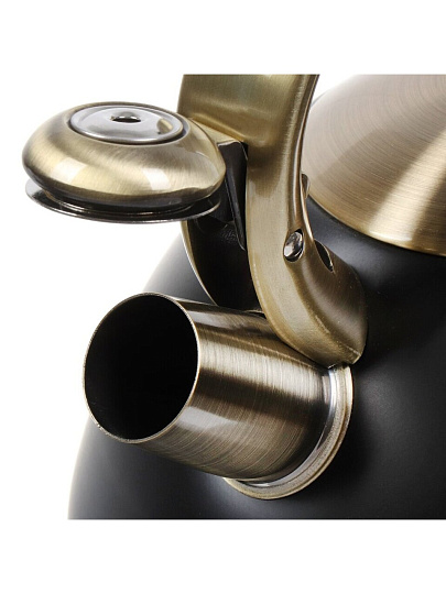 Чайник нержавеющая сталь, 3 л, со свистком, матовый, ручка металлическая, Daniks, индукция, M-079