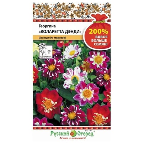 Семена Цветы, Георгина, Коларетта Дэнди, 0.4 г, 200%, цветная упаковка, Русский огород