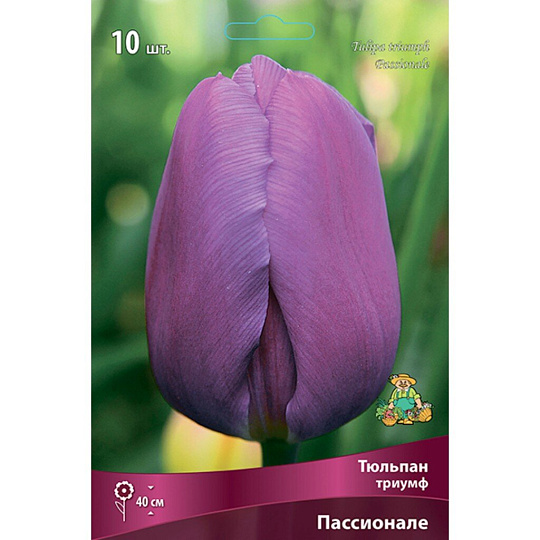 Луковицы Тюльпан Триумф, Пассионале, 11-12/К, 10 шт