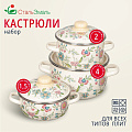 Набор посуды эмалированная сталь, 6 предметов, кастрюли 1.5,2,4 л, индукция, СтальЭмаль, Луговые цветы, 3КА071М