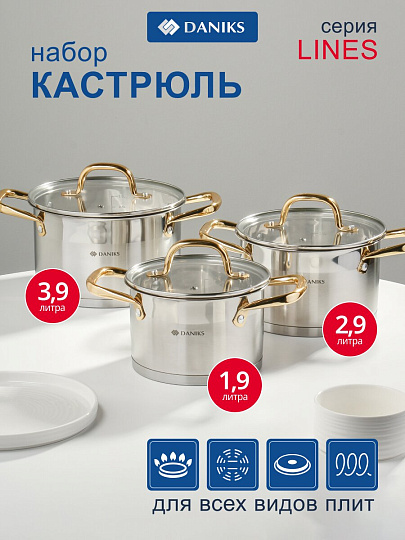 Набор посуды нержавеющая сталь, 6 предметов, индукция, Daniks, Лайнс, SD-072-6