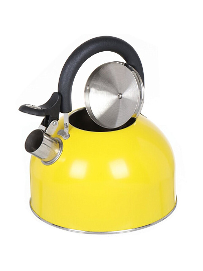 Чайник нержавеющая сталь, 2.5 л, со свистком, матовый, ручка металлическая, Daniks, желтый, GS-04011