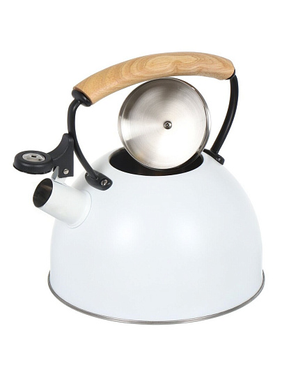 Чайник нержавеющая сталь, 2.5 л, со свистком, матовый, ручка деревянная, Daniks, индукция, белый, MSY-078W