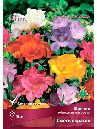 Луковицы Фрезия гибридная махровая, смесь окрасок, 10 шт