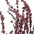 Цветок искусственный декоративный Сухоцветы, 60 см, фиолетовый, Y6-10346 - фото 2
