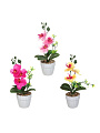 Цветок декоративный Орхидея, в кашпо, пластик, 3 цвета, 25 см, 597-287 - фото 3