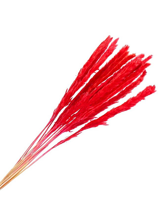 Цветок искусственный декоративный Сухоцветы, 60 см, темно-красный, Y6-10397