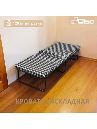Раскладушка 194х79х38.5 см, 100 кг, Отдых, с4/17/с4/70, полумягкая, сталь, пружинная змейка, матрас в комплекте, поролон