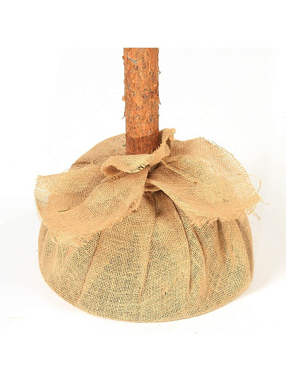 Елка новогодняя напольная, 180 см, Натуральное дерево, ель, зеленая, хвоя ПВХ пленка, P19