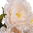 Цветок искусственный декоративный Пионы букет, 42 см, шампань, Y4-7914 - фото 2