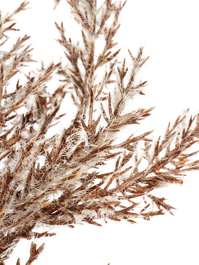 Цветок искусственный декоративный, 54 см, сиреневый, Y4-11114