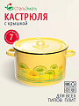 Кастрюля эмалированная сталь, 7 л, крышка сталь, СтальЭмаль, 1с18с, в ассортименте, индукция