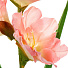 Цветок искусственный Гладиолус, 80 см, розовый, Y4-6929 - фото 2