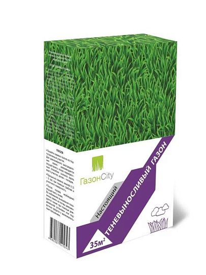 Семена Газон, Настоящий Теневыносливый, 1 кг, коробка, ГазонCity