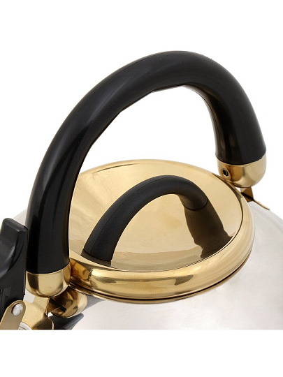 Чайник нержавеющая сталь, 2.7 л, со свистком, зеркальный, ручка бакелитовая, с силиконовым покрытием, Daniks, Мадрид Голд, индукция, M-001PM