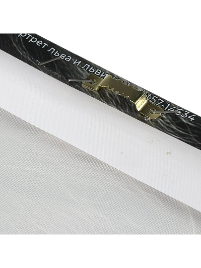 Картина холст, 50х70 см, Портрет льва и львица, kt57-14634