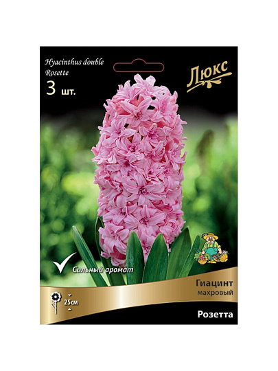 Луковицы Гиацинт махровый, Розетта, 15-16/К, 3 шт