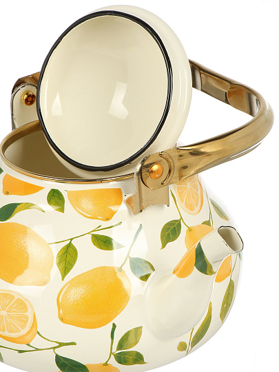 Чайник сталь, эмалированное покрытие, 2.5 л, ручка металл, Daniks, Лимоны, индукция