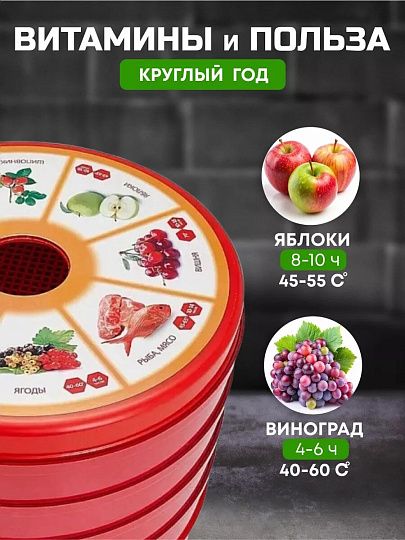 Сушилка для овощей, фруктов Василиса, СОЗ-520, 4 поддона, 520 Вт, регулируемая температура 30-70 °C