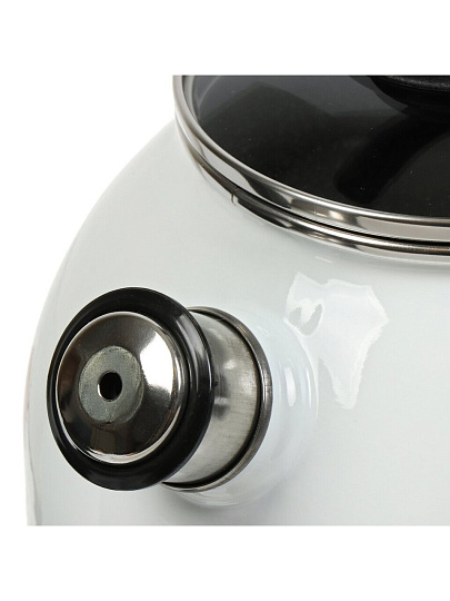 Чайник сталь, эмалированное покрытие, 3 л, со свистком, с пластиковой кнопкой, Сибирские товары, Гранатовый сок, индукция, белый, С2717.3