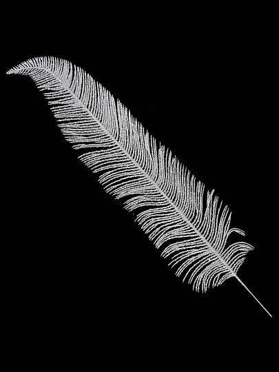 Перо декоративное 58х12 см, серебро, SYCZA-3820198