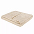 Одеяло 1.5-спальное, 140х205 см, волокно хлопковое, 300 г/м2, всесезонное, чехол 100% хлопок, кант, Green Line, бежевое - фото 2