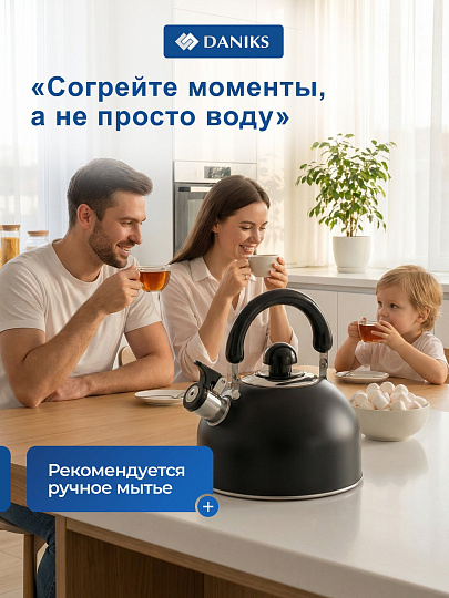 Чайник нержавеющая сталь, 2.5 л, со свистком, матовый, ручка металлическая, Daniks, индукция, черный, GS-04001