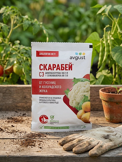 Инсектицид Скарабей, от колорадского жука и гусениц, от вредителей, жидкость, 4 мл, Avgust