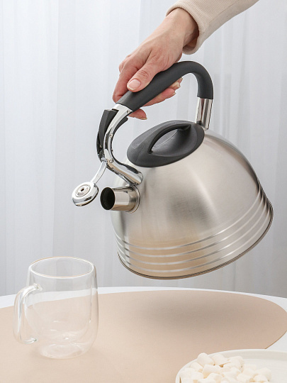 Чайник нержавеющая сталь, 2.7 л, со свистком, матовый, сталь 304, ручка с силиконовым покрытием, Daniks, индукция, PR-2201