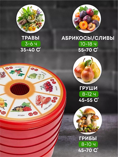 Сушилка для овощей, фруктов Василиса, СОЗ-520, 4 поддона, 520 Вт, регулируемая температура 30-70 °C