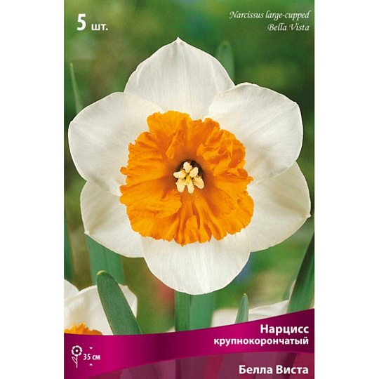 Луковицы Нарцисс крупнокорончатый, Белла Виста, 12-14/К, 5 шт