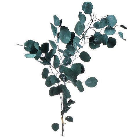Цветок искусственный декоративный Ветвь, 60 см, зеленый, Y4-7163