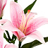 Цветок искусственный декоративный Лилия, 70 см, розовый, Y4-7944 - фото 2