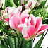 Цветок искусственный декоративный Крокус, пасхальный, 38 см, розовый, Y6-10353 - фото 2