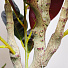 Дерево искусственное декоративное в кашпо, 150 см, Y4-3392 - фото 3