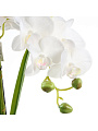 Цветок искусственный декоративный Орхидея в кашпо, 52 см, белый, Y4-7938 - фото 2