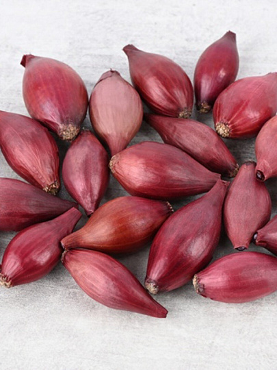 Луковицы Лук-севок, Кармен МС, 0.5 кг