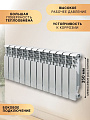 Радиатор биметалл, 350х80 мм, Tropic, 12 секций, 7611.056 - фото 2