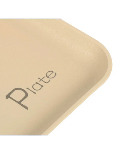 Поднос пластик, 25.5х36 см, прямоугольный, Y4-9249