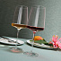 Бокал для вина, 660 мл, бессвинцовый хрусталь, 6 шт, Schott Zwiesel, Flavoursome&amp;Spicy, 120593-6 - фото 3