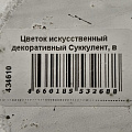 Цветок искусственный декоративный Суккулент, в кашпо, 9х9х11 см, Y4-6917 - фото 5