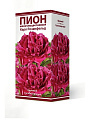 Луковицы Пион молочноцветковый, Карл Розенфельд, 2-3, 843035