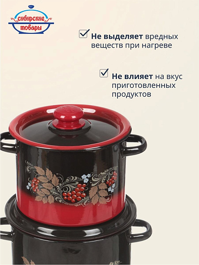 Набор посуды эмалированная сталь, 4 предмета, кастрюли 3.5,5.5 л, Сибирские товары, Рябинка 20, N20L05