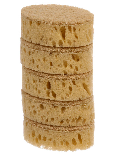 Губка для посуды, 5 шт, поролон, абразивная фибра, 9.5х6.5х3 см, Марья Искусница