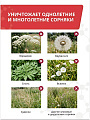 Гербицид Глибест 540, от сорняков сплошного действия, 500 мл, Агрусхим - фото 3