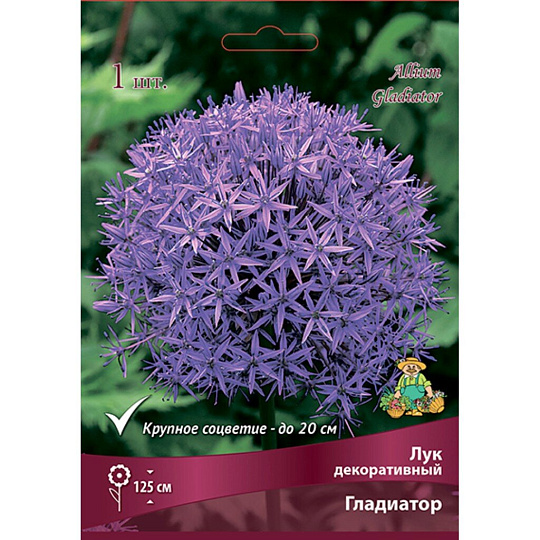 Луковицы Лук декоративный, Гладиатор, 20+/К
