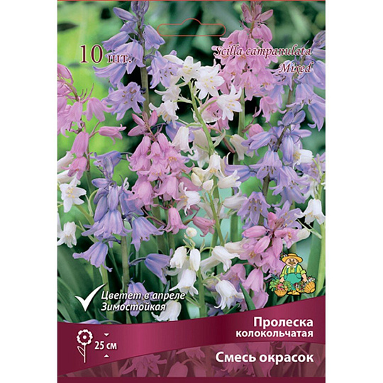 Луковицы Пролеска колокольчатая, смесь окрасок, 7-8/К, 10 шт